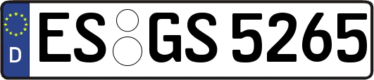 ES-GS5265