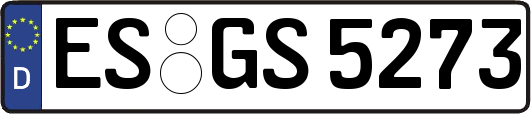 ES-GS5273