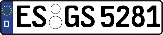 ES-GS5281
