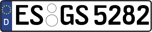 ES-GS5282