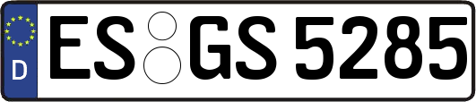 ES-GS5285