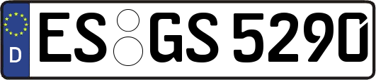 ES-GS5290