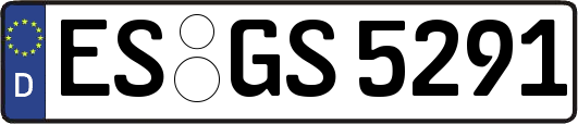 ES-GS5291