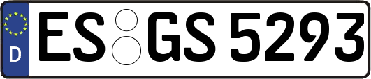 ES-GS5293