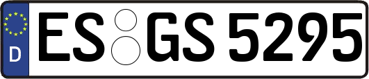 ES-GS5295