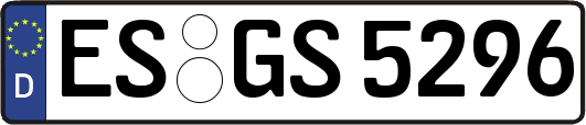 ES-GS5296