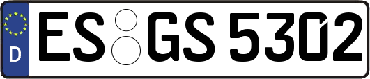 ES-GS5302