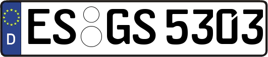 ES-GS5303