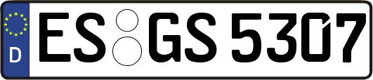 ES-GS5307