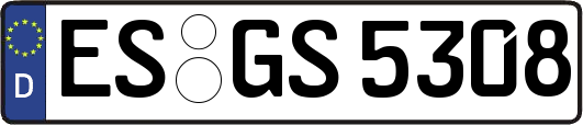 ES-GS5308