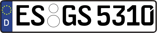 ES-GS5310