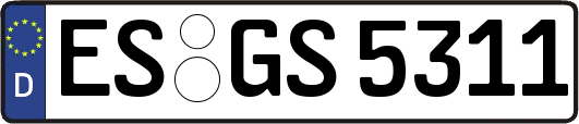 ES-GS5311