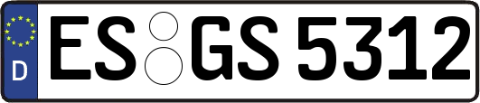 ES-GS5312