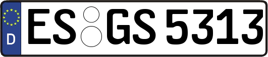 ES-GS5313