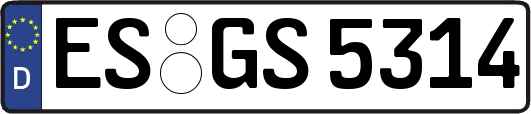 ES-GS5314