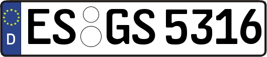 ES-GS5316