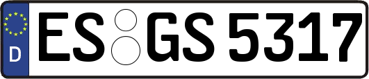 ES-GS5317
