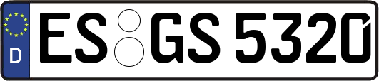 ES-GS5320