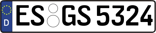 ES-GS5324