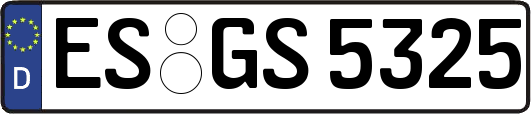 ES-GS5325