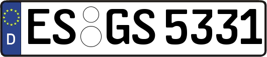 ES-GS5331