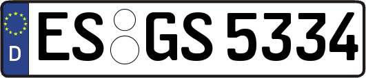 ES-GS5334