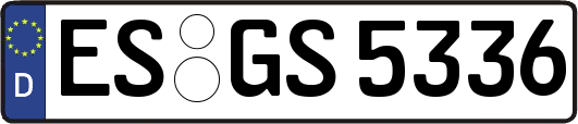 ES-GS5336