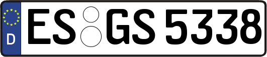ES-GS5338