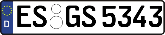 ES-GS5343