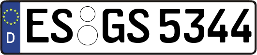 ES-GS5344