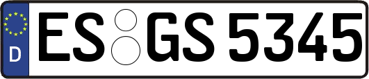 ES-GS5345