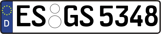 ES-GS5348