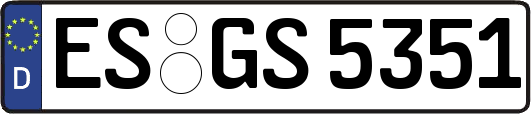 ES-GS5351