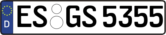 ES-GS5355