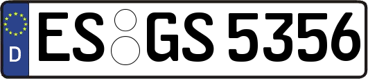 ES-GS5356