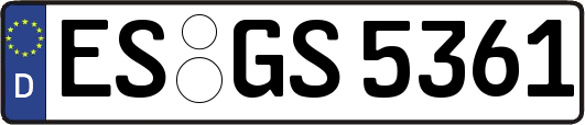ES-GS5361