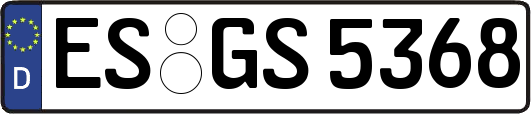 ES-GS5368