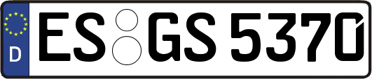 ES-GS5370