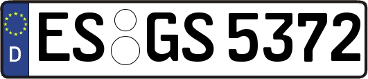 ES-GS5372