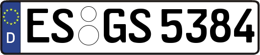 ES-GS5384