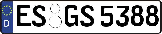 ES-GS5388
