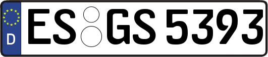 ES-GS5393