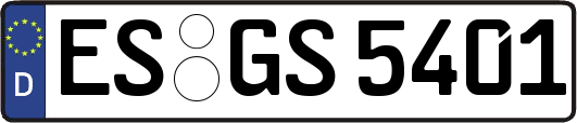 ES-GS5401
