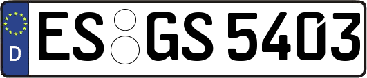 ES-GS5403