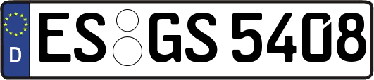 ES-GS5408