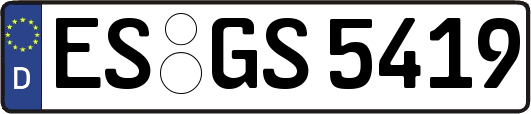 ES-GS5419
