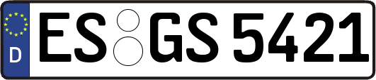 ES-GS5421