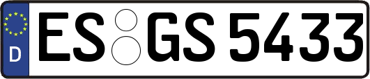 ES-GS5433