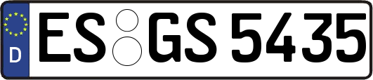 ES-GS5435