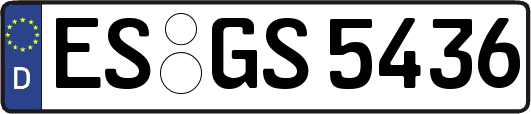 ES-GS5436
